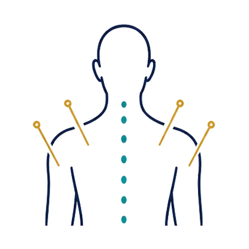 Acupuntura Humana